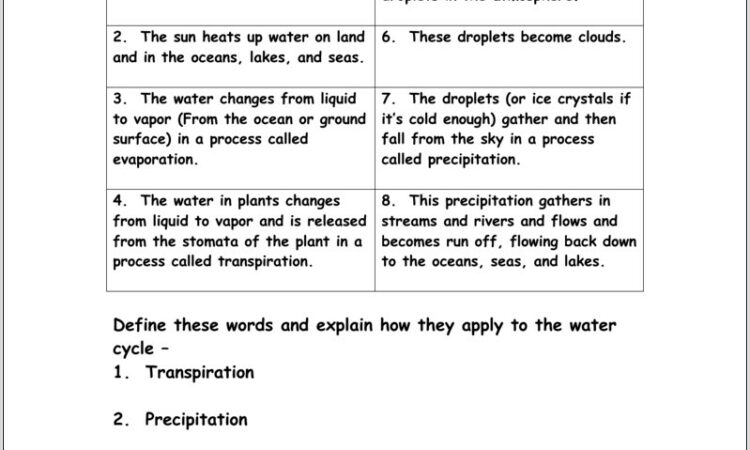 Water Cycle Worksheet Year 7