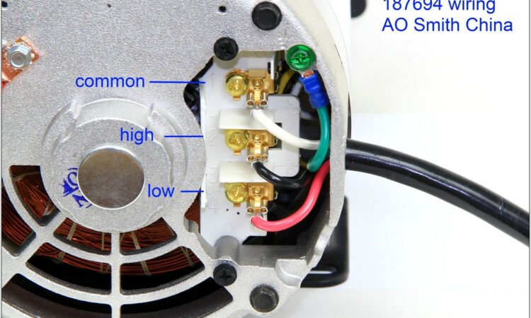 Waterway Executive 56 Wiring Diagram