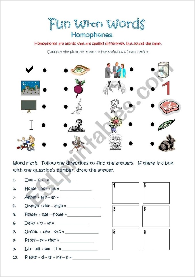 Wh Sight Words Worksheets