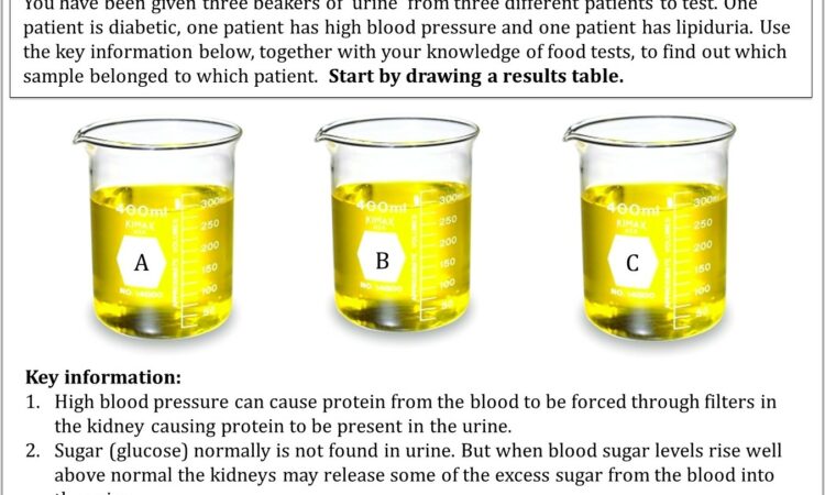 What Is Food Chemistry Worksheet