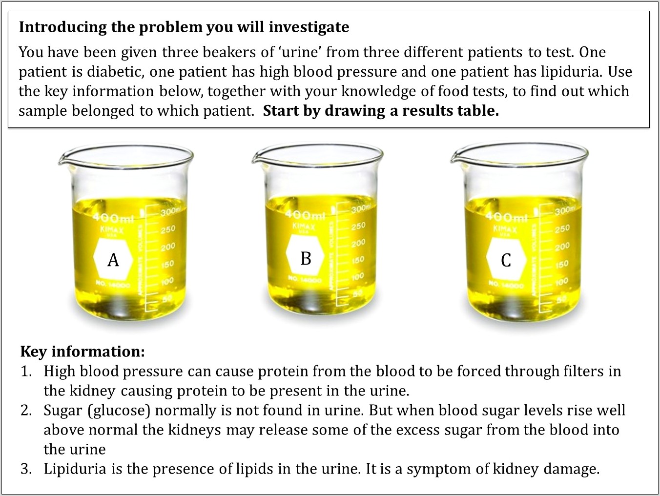 What Is Food Chemistry Worksheet