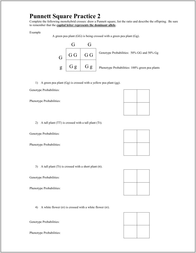 What Is Life Science Worksheet Answers