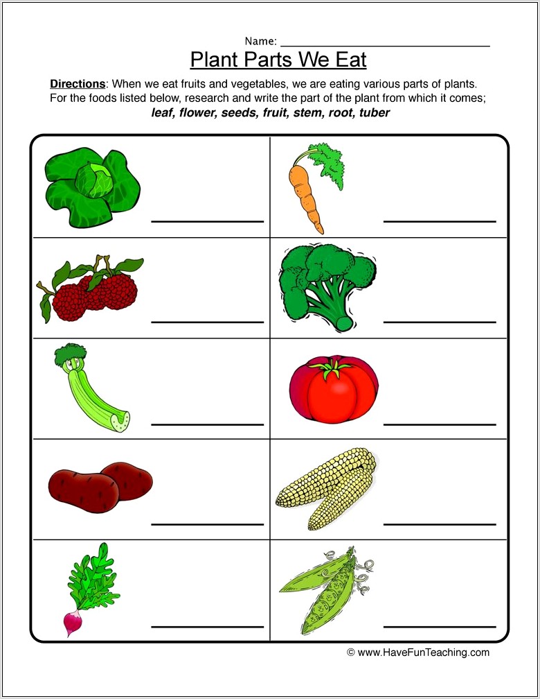 Where Food Comes From Worksheet