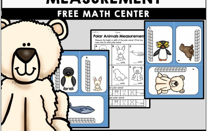 Which Arctic Animals Love Math Worksheet