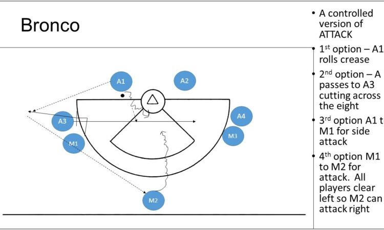 Womens Lacrosse Motion Offense Diagrams