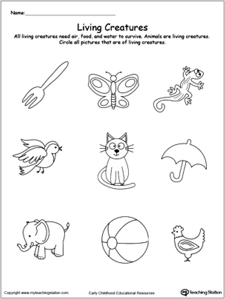 Word Problems Worksheet For Kindergarten