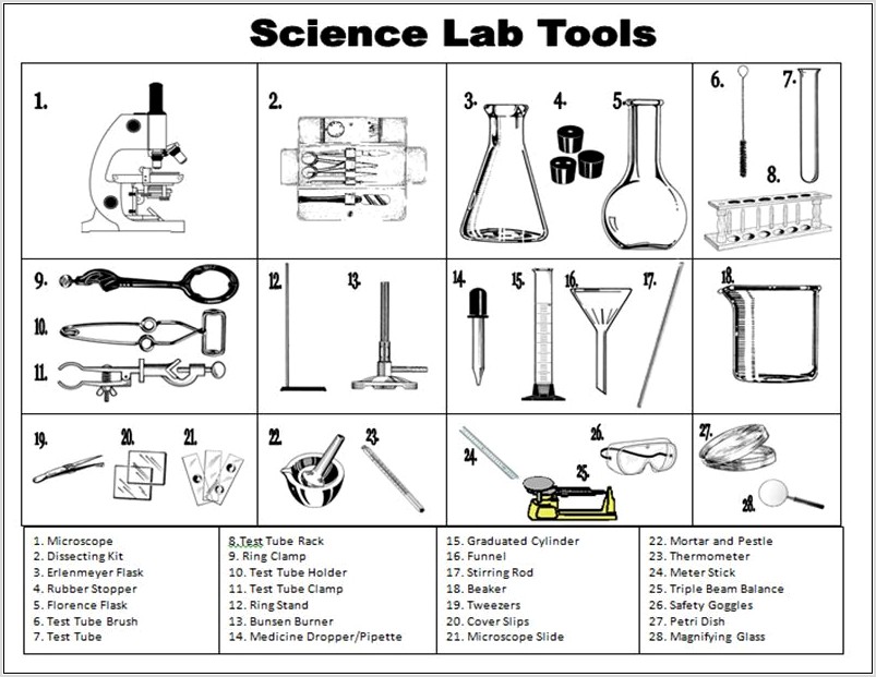 Worksheet 12 Microscope And Scientific Method