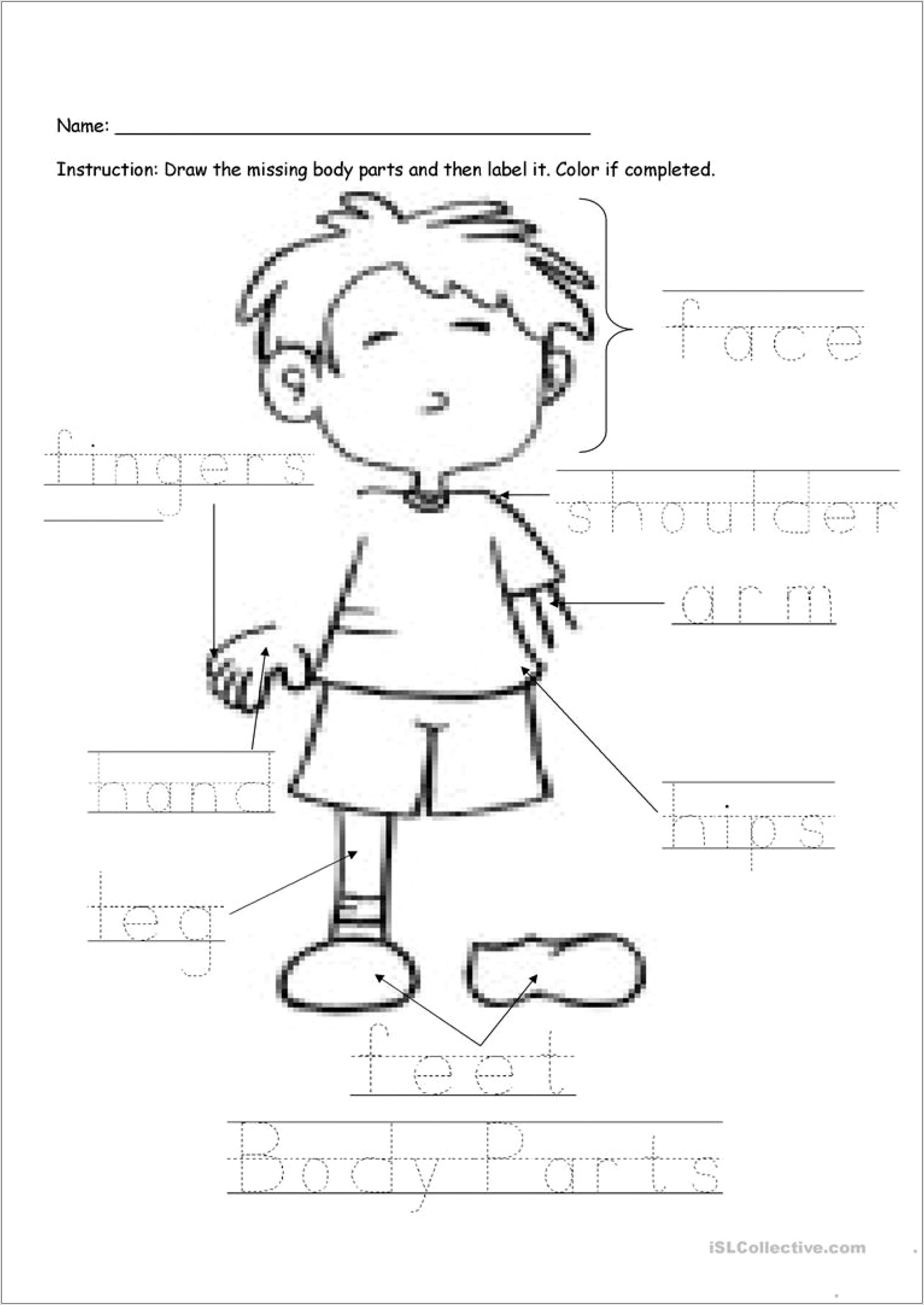 Worksheet Body Lable Printable Children