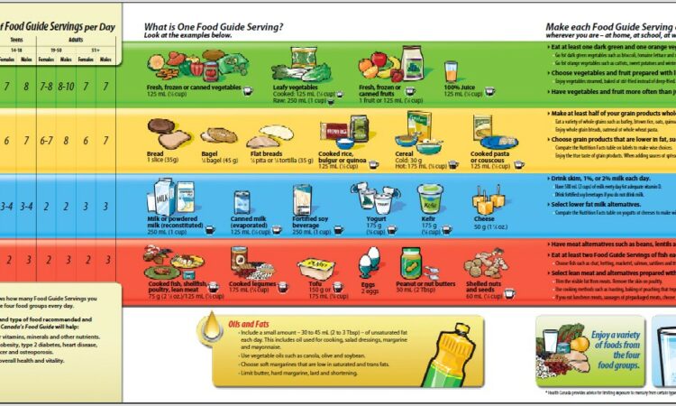 Worksheet Canada Food Guide