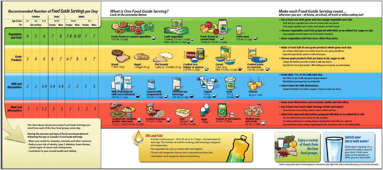Worksheet Canada Food Guide