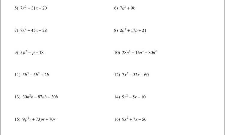 Worksheet Factoring Algebraic Expressions