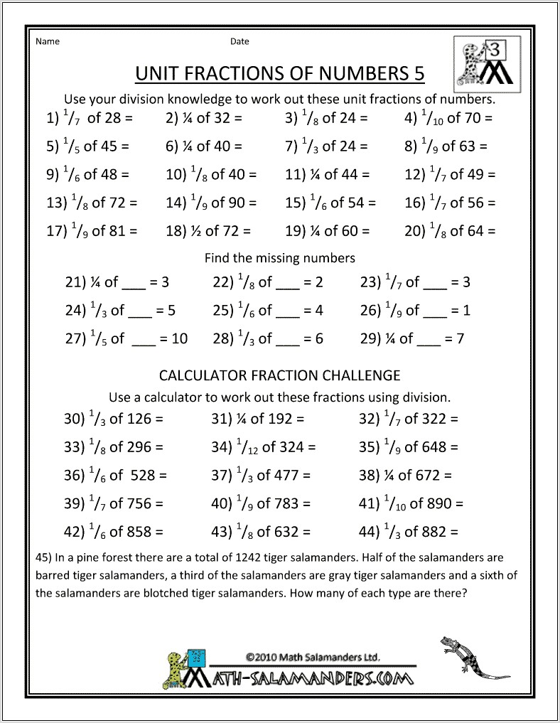 Worksheet Finding Fractions On A Number Line