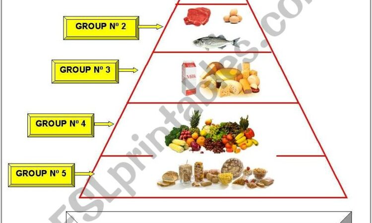 Worksheet Food Guide Pyramid