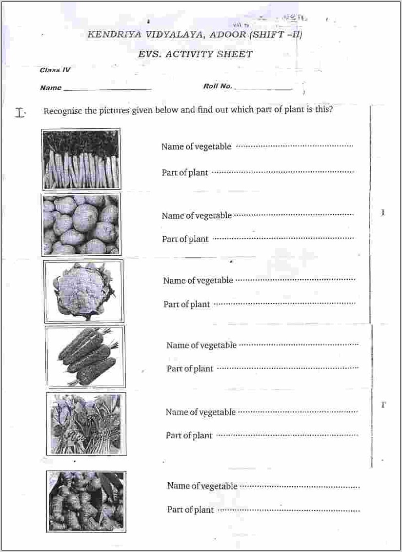 Worksheet For Class 5 Evs Kv