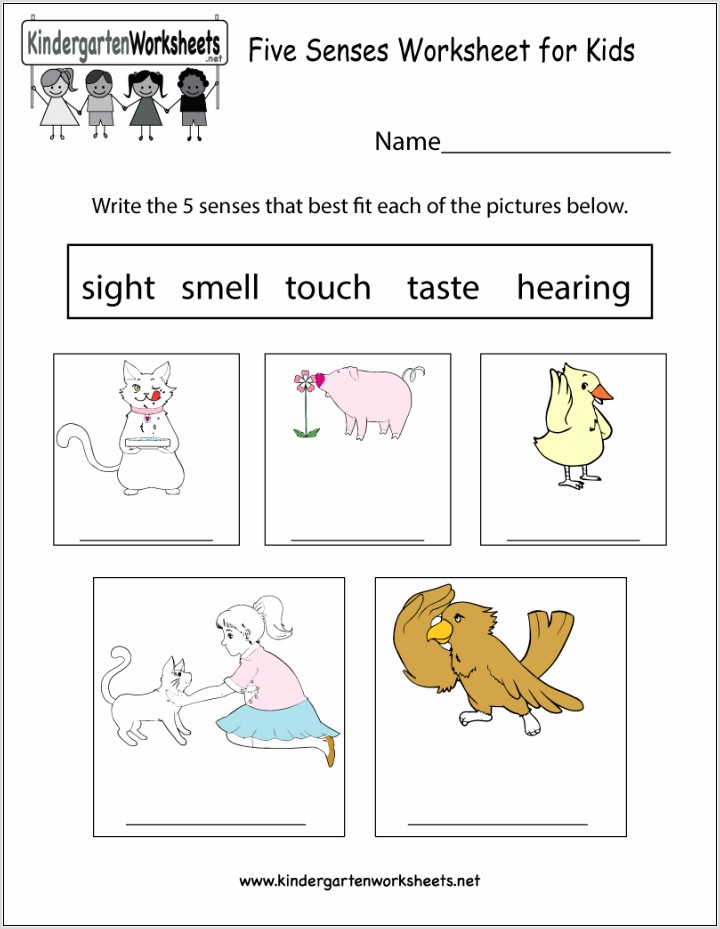 Worksheet For Kindergarten Parts Of The Body