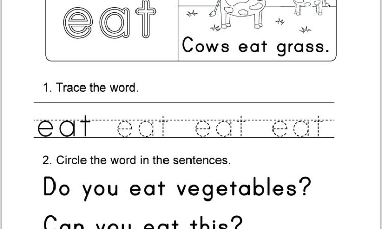 Worksheet For Sight Word Can