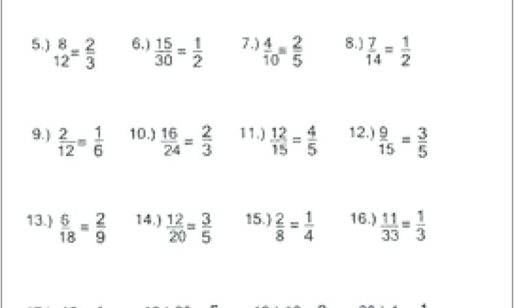 Worksheet Fractions Simplest Form