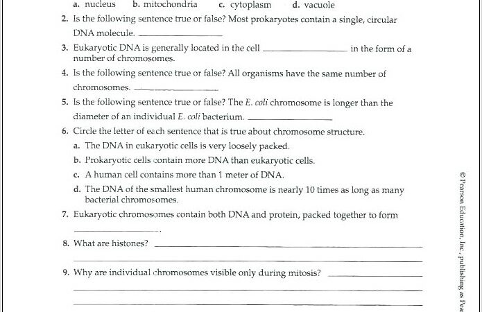 Worksheet Generator Educationcom