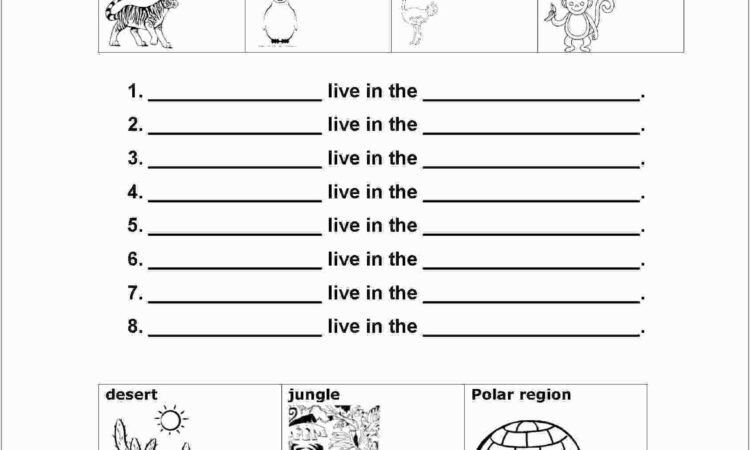 Worksheet Grade 1 Science