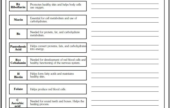 Worksheet On Food And Health Grade 5