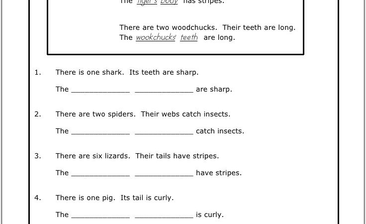 Worksheet On Possessive Pronouns For Grade 2