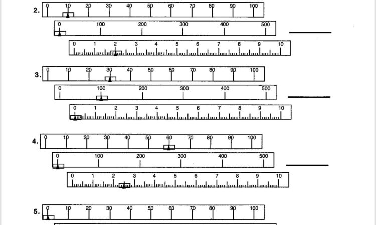 Worksheet Reading A Scale