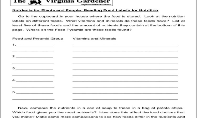 Worksheet Reading Nutrition Labels