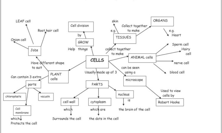 Worksheet Using Map Key