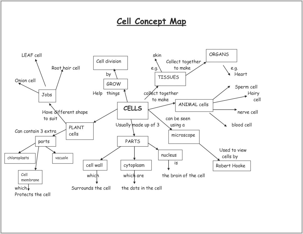 Worksheet Using Map Key