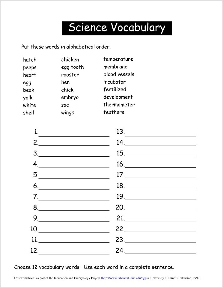 Worksheets For Grade 5 Pdf