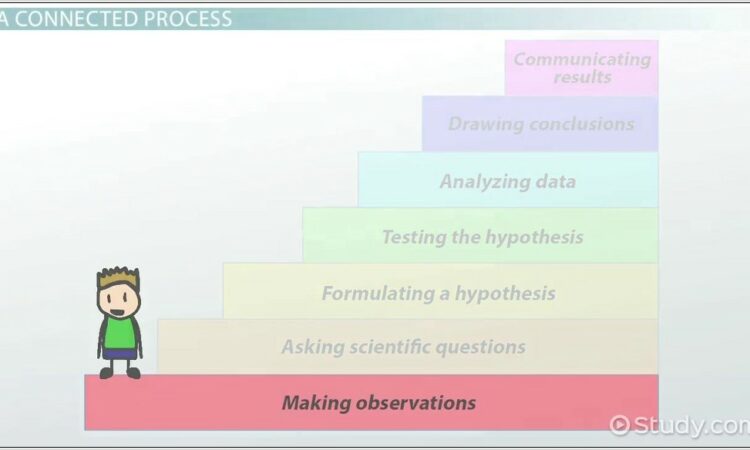 Worksheets For Scientific Method In Middle School