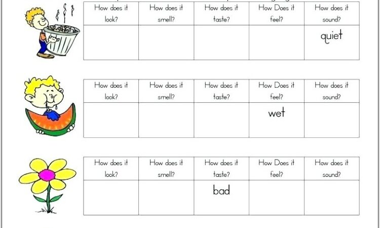 Worksheets For Second Grade Adjectives