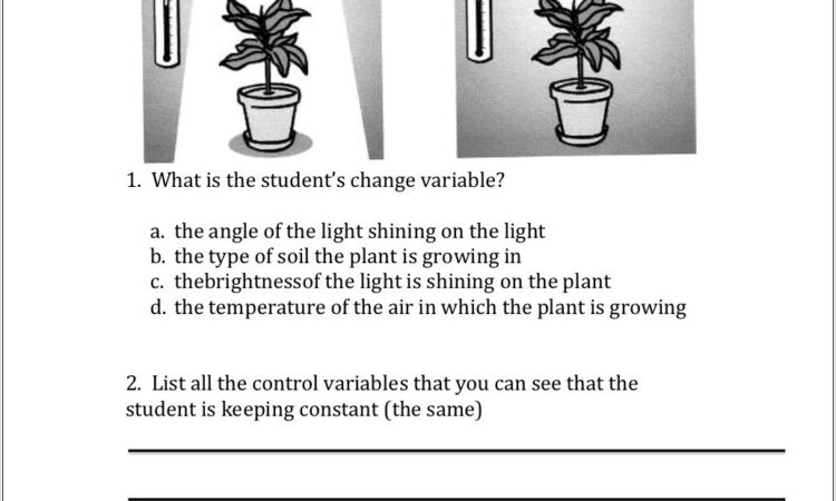 Worksheets On Scientific Method For 5th Grade