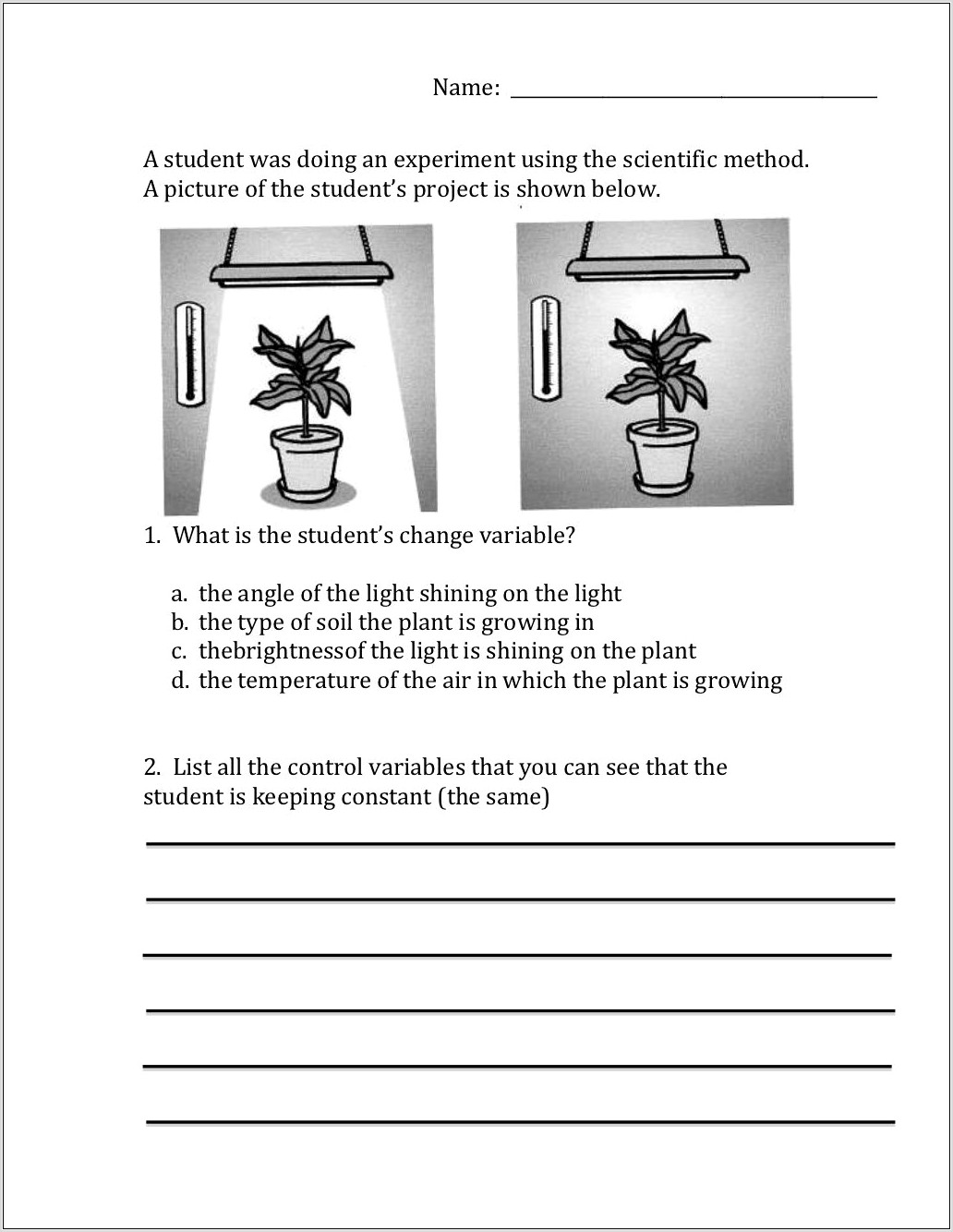 Worksheets On Scientific Method For 5th Grade