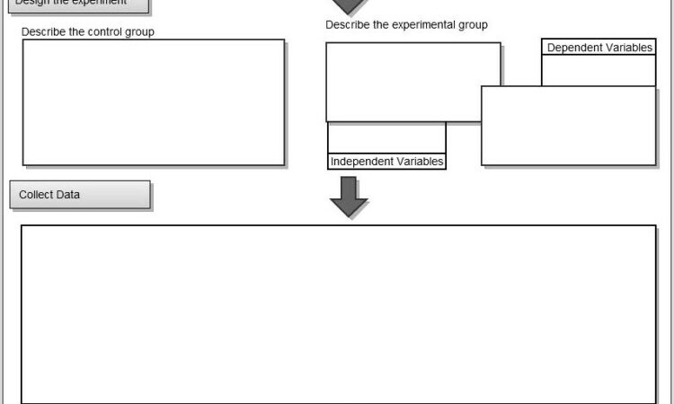 Worksheets On The Scientific Method For Elementary