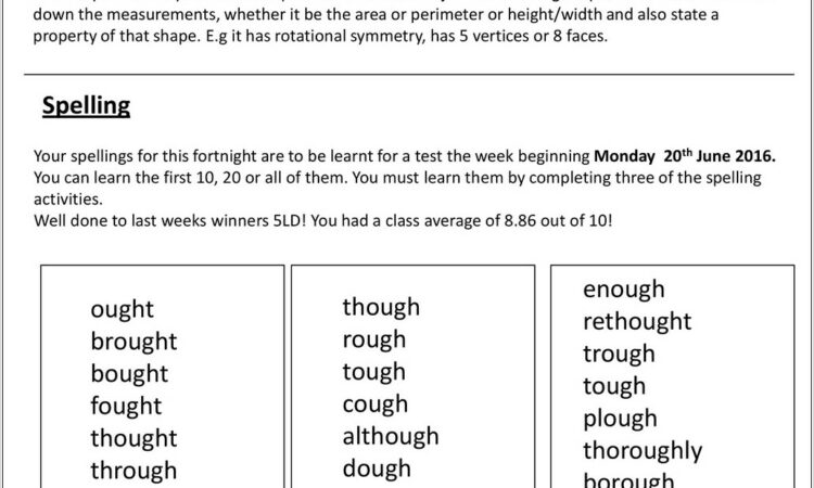 Writing Instructions Worksheet Year 5