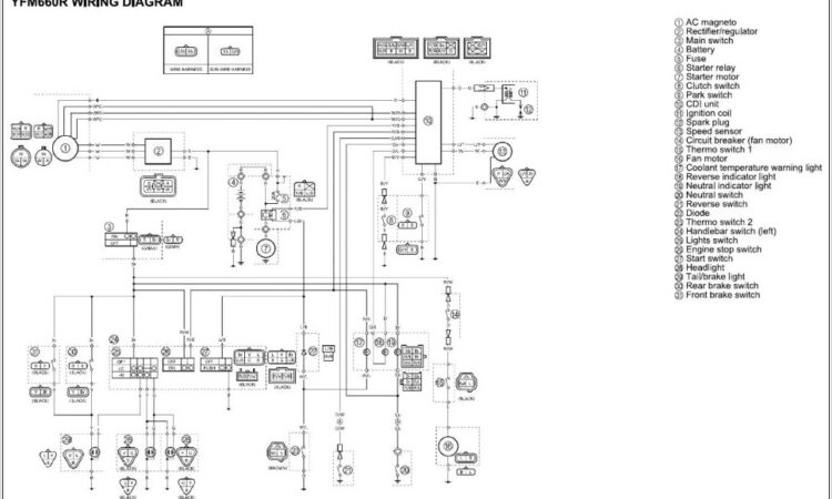 Yamaha Yfz 450 Wiring Diagram