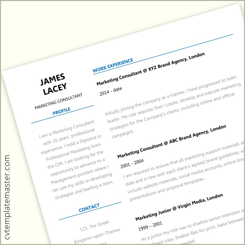 2 Column Resume Examples 2 Page
