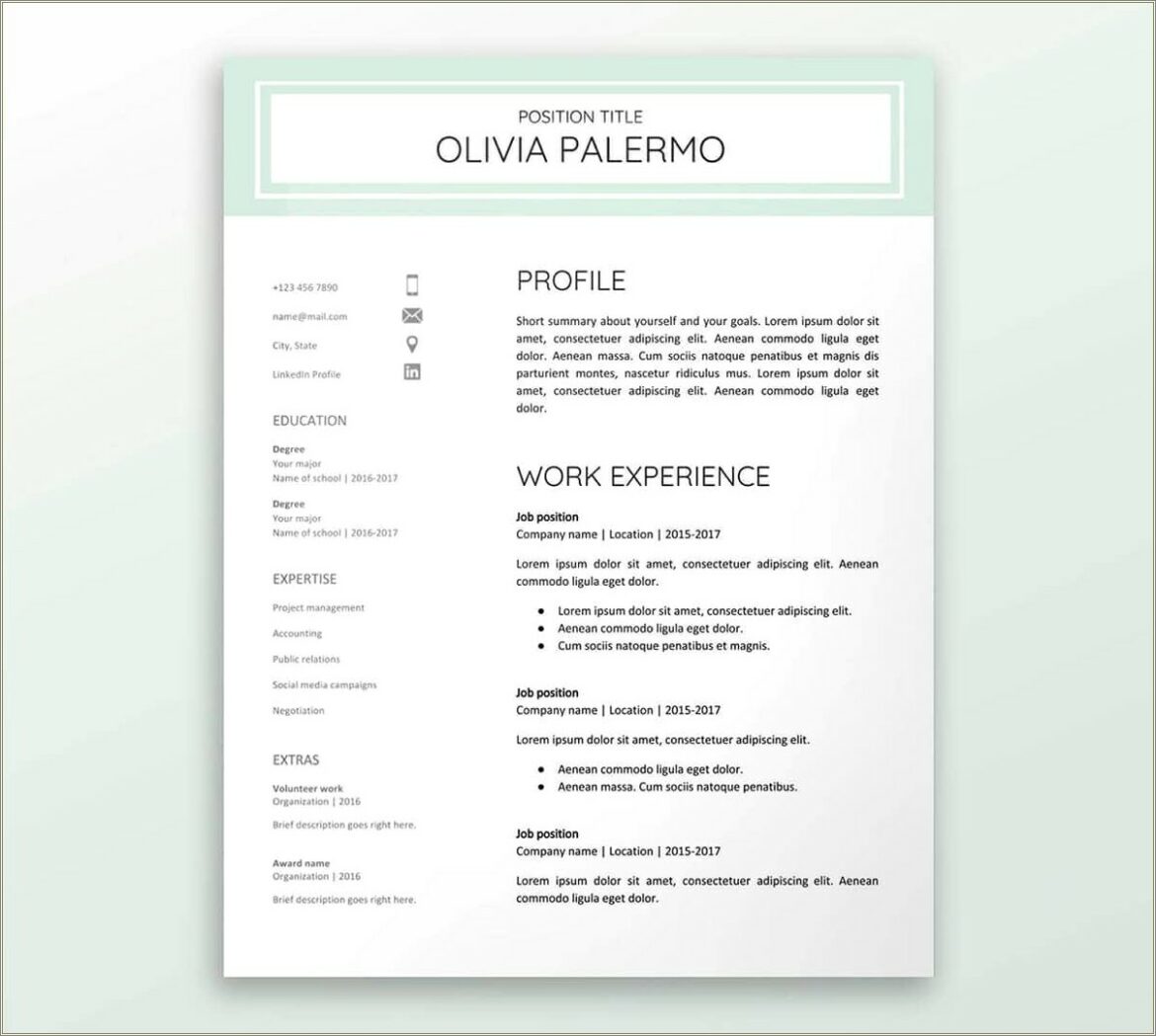 2 Column Resume Templates On Google