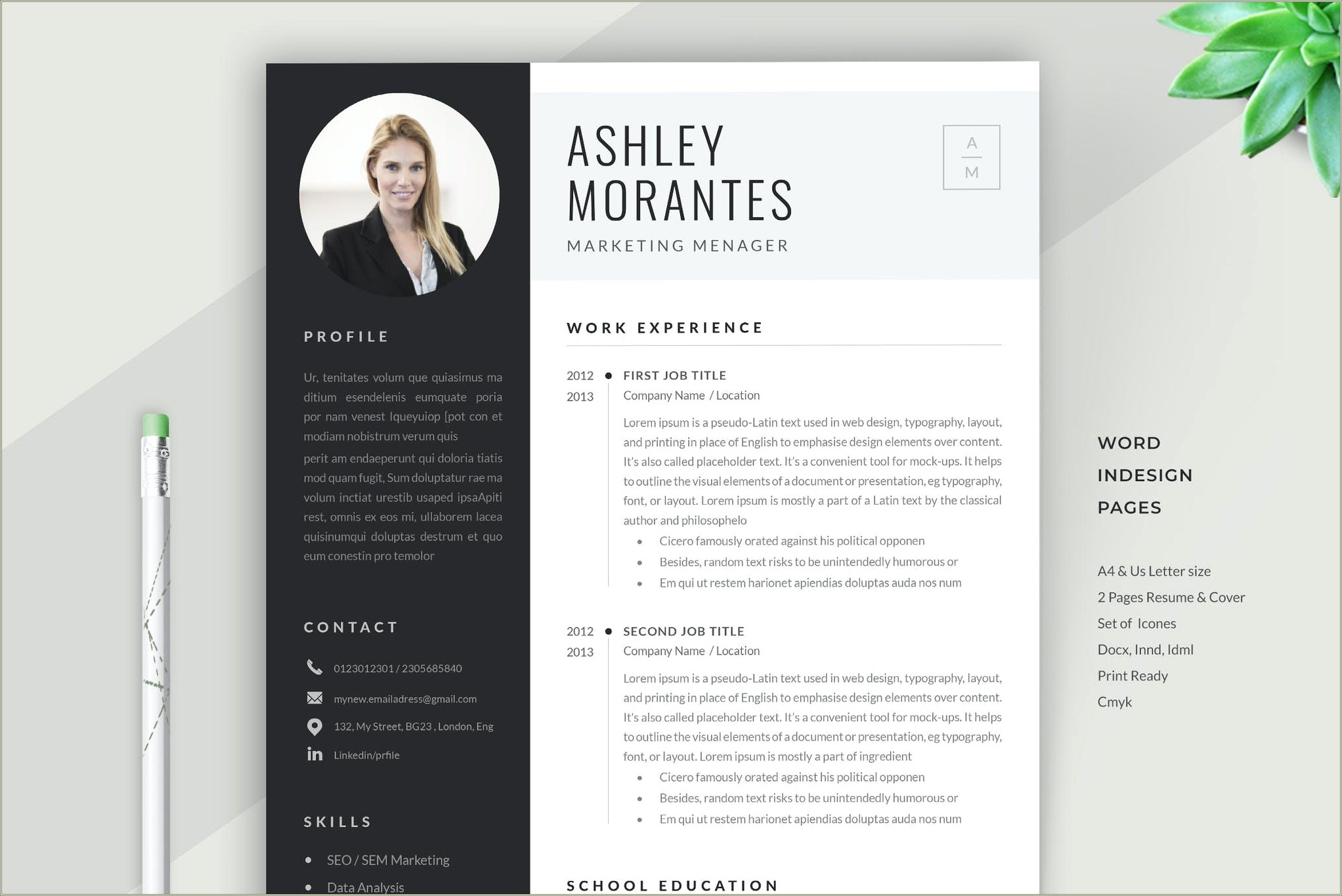 2 Page Resume Template Download Free