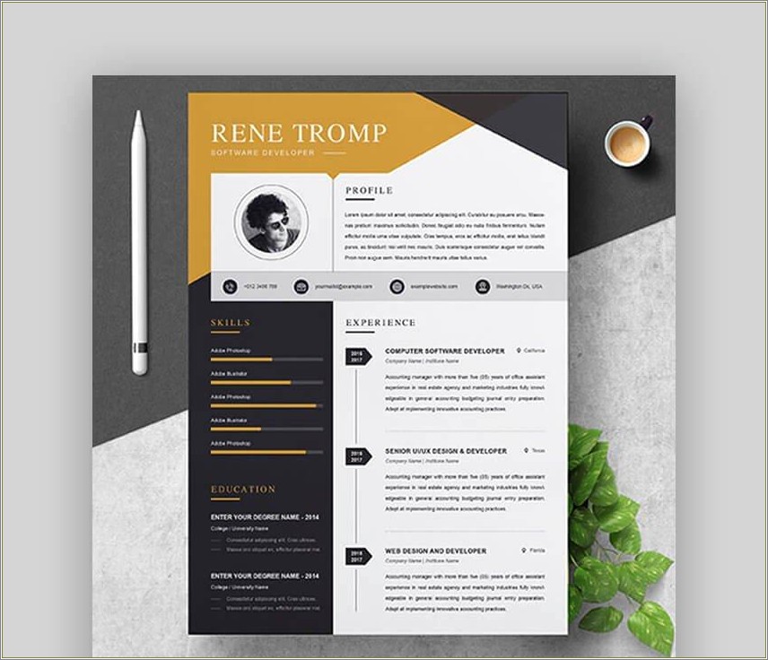3 Page Resume Template Free Download