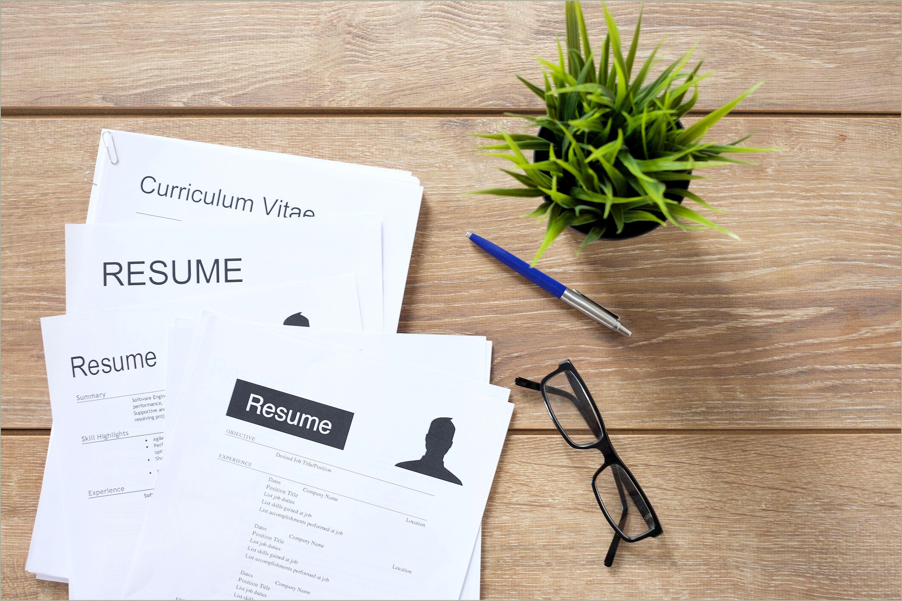 3 Types Of Resume With Examples