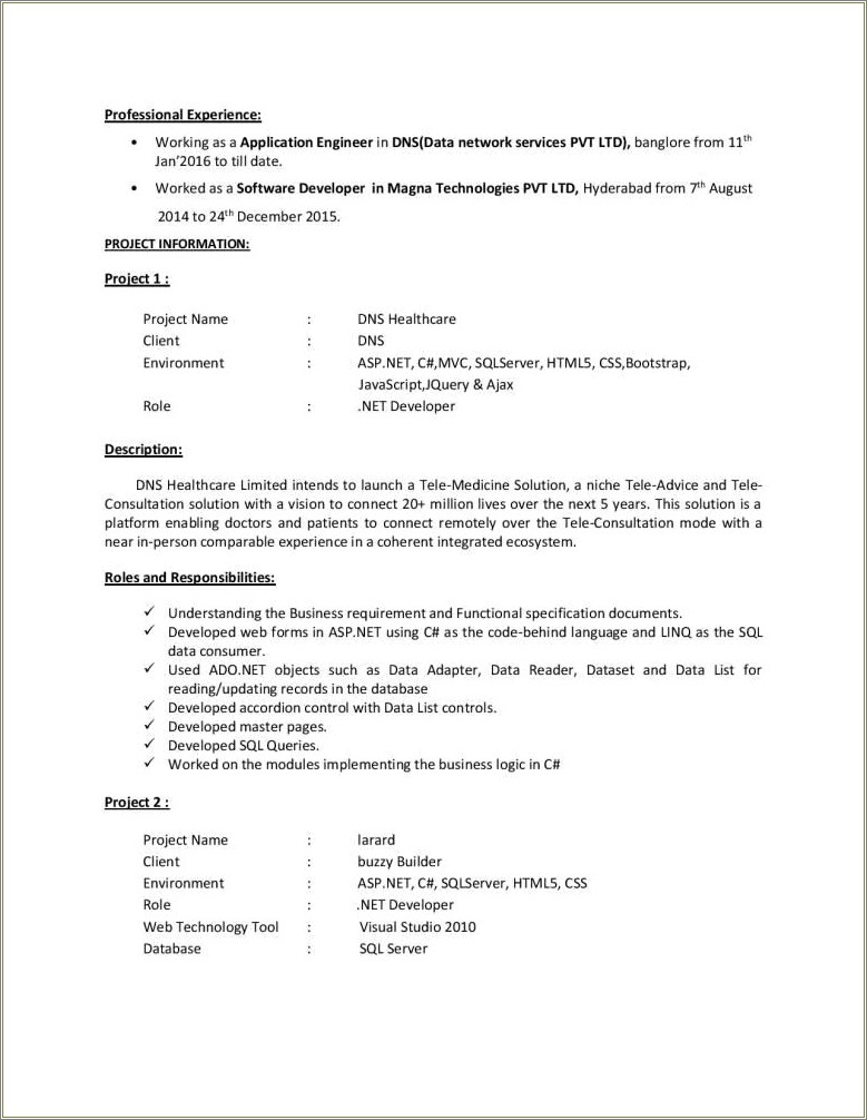 3 Years Experience Resume In Net