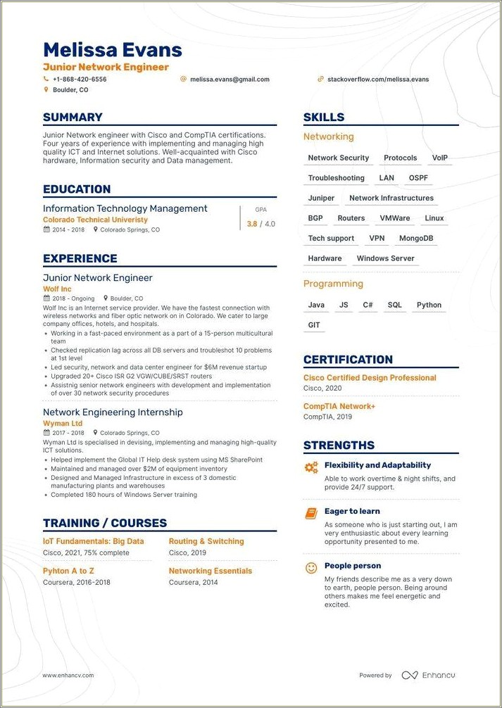 3 Years Experience Resume In Networking