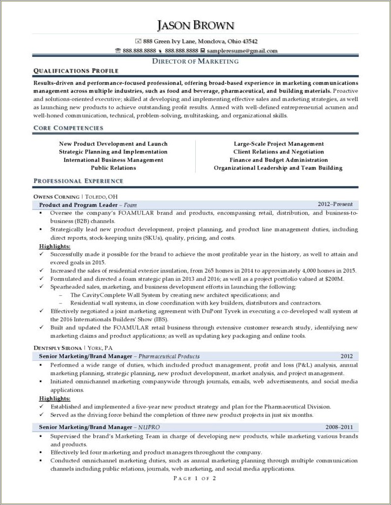 A Good Marketing Director Resume Example