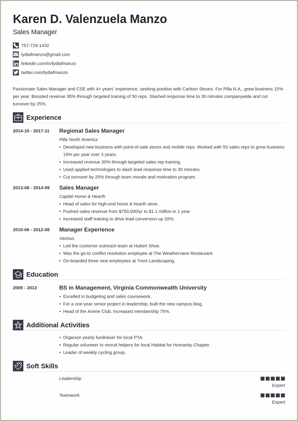 A Great Summary For A Sales Resume
