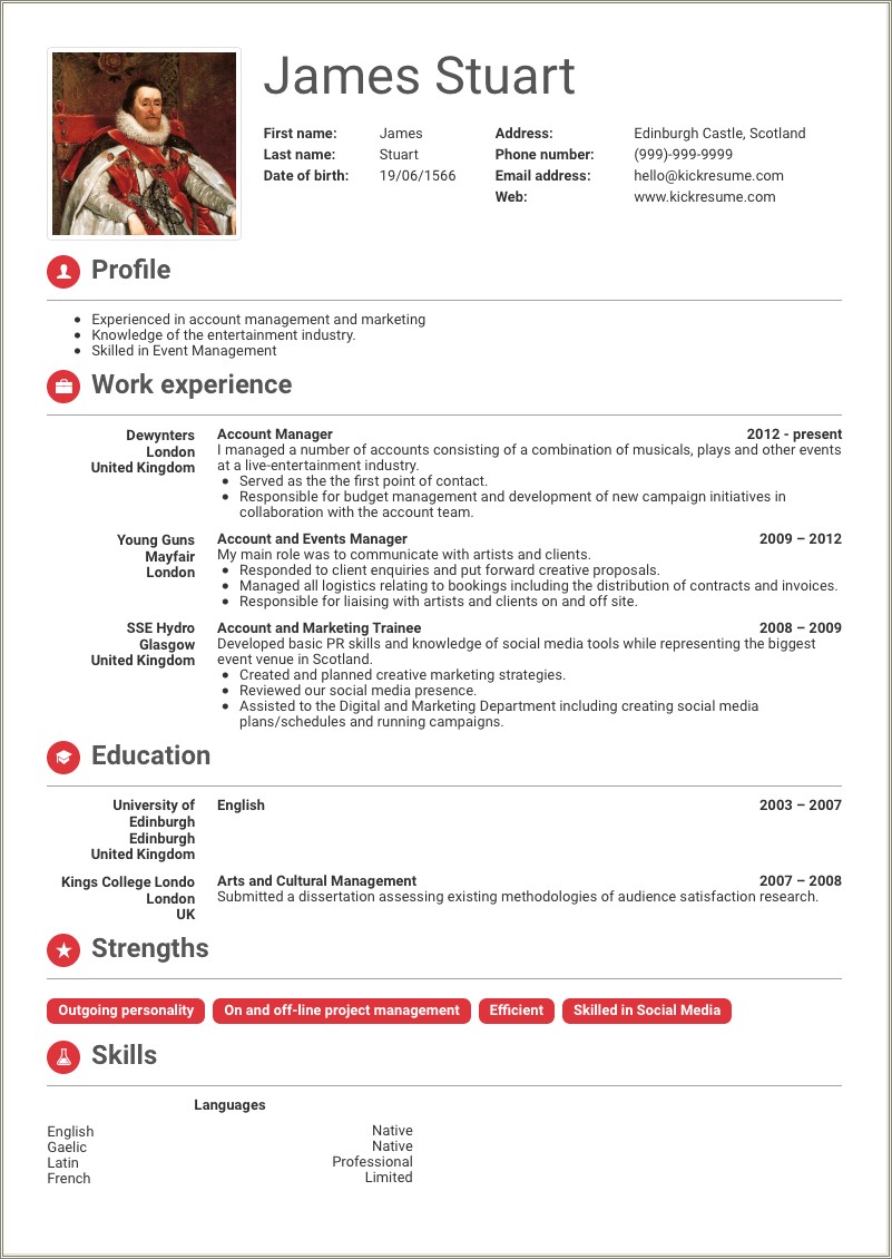 Account Director Ad Agency Resume Sample