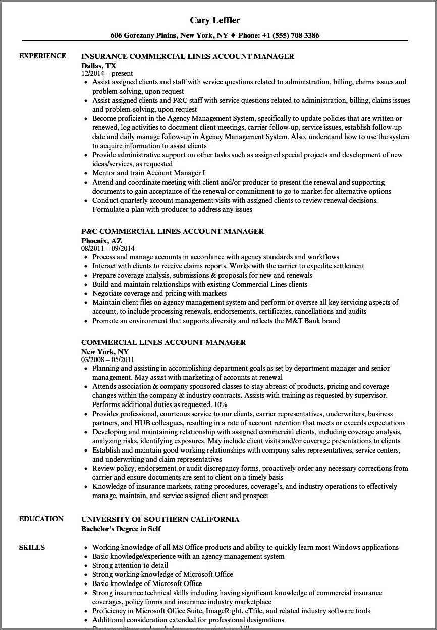 Accounts Manager Job Description For Resume