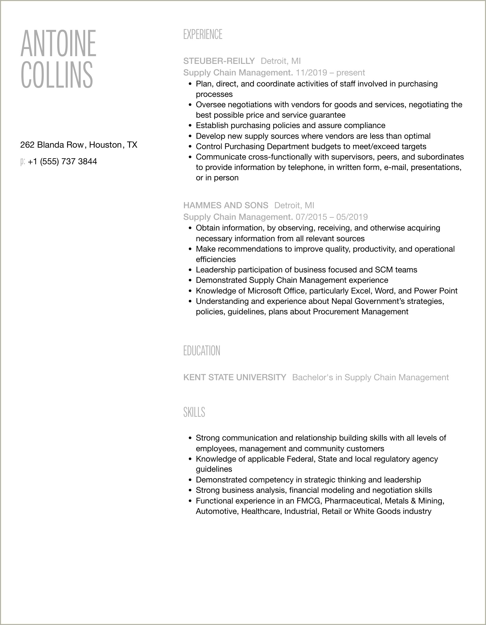 Active Supply Chain Group Member Resume Example