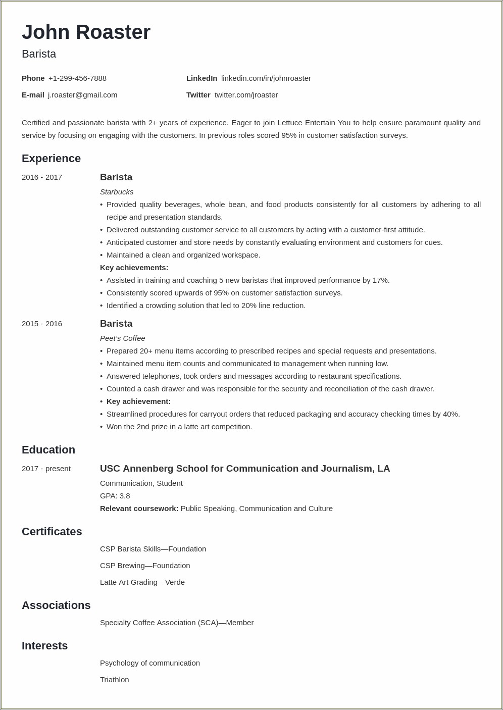 Additional Skills And Activitis In Resume